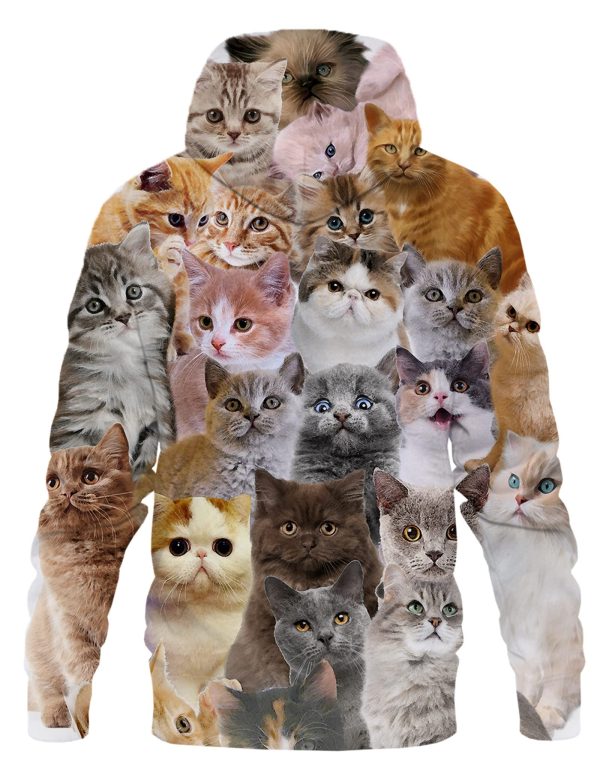Unisex Adults 3D Printed Fashion Hoodies for Men Women Pullover Novelty Sweatshirts with Big Pockets