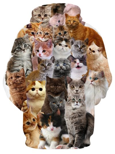 Unisex Adults 3D Printed Fashion Hoodies for Men Women Pullover Novelty Sweatshirts with Big Pockets