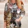 Unisex Adults 3D Printed Fashion Hoodies for Men Women Pullover Novelty Sweatshirts with Big Pockets
